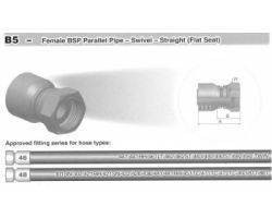 B5-Female BSP Parallel Pipe-Swivel-Straight(Flat Seat)